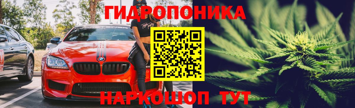 Конопля Amnesia  Канабис марихуана  Вход с VPN  Карпинск 